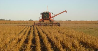 Buscan establecer parámetros en la producción y procesamiento de productos agropecuarios