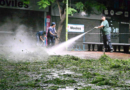 Desastre en Bahía Blanca: una tormenta de granizo provocó destrozos, cortes de luz y caos en la ciudad