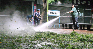 Desastre en Bahía Blanca: una tormenta de granizo provocó destrozos, cortes de luz y caos en la ciudad